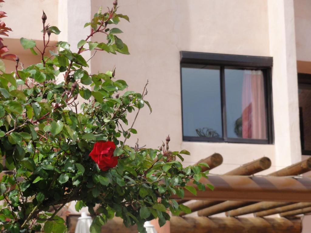 Hotel L'Hacienda Martigues Bagian luar foto