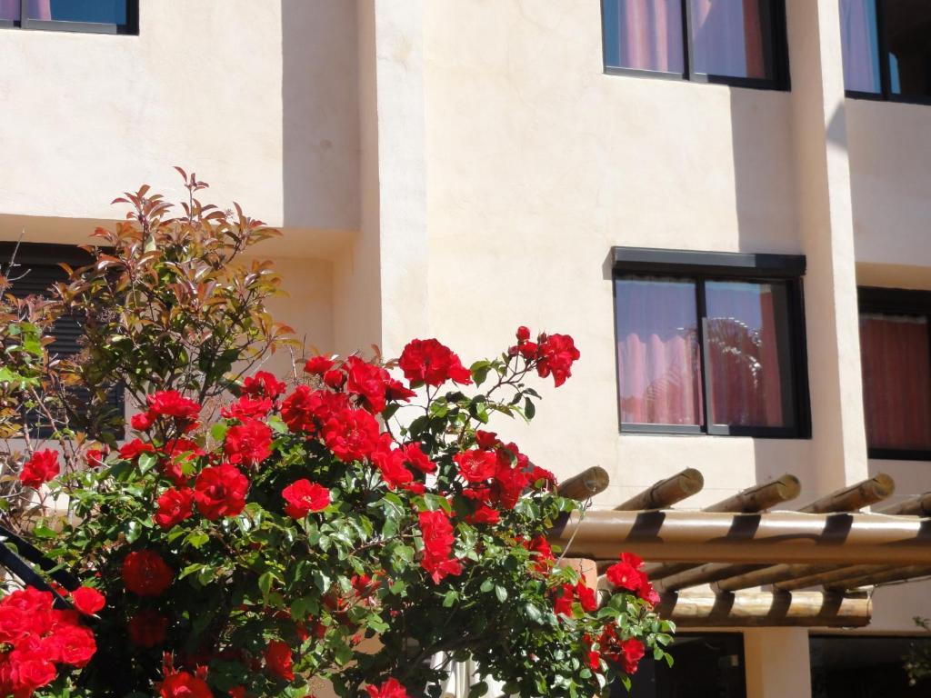 Hotel L'Hacienda Martigues Bagian luar foto